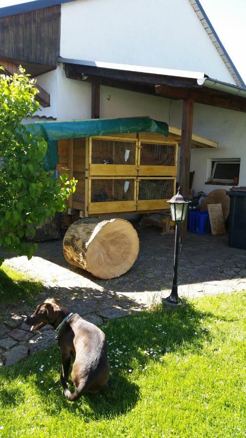 Ferienwohnung Rucksack-Bimbes Altendiez Bagian luar foto